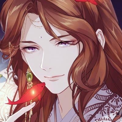 成都一店主给鸟搭吊床